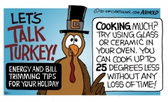 0052-co-opcartoon_TurkeyTip_colorweb-1